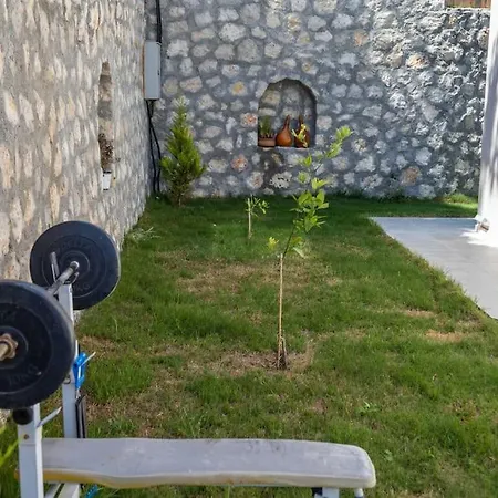 Doga Icerisinde Lueks Rose Vilă *
